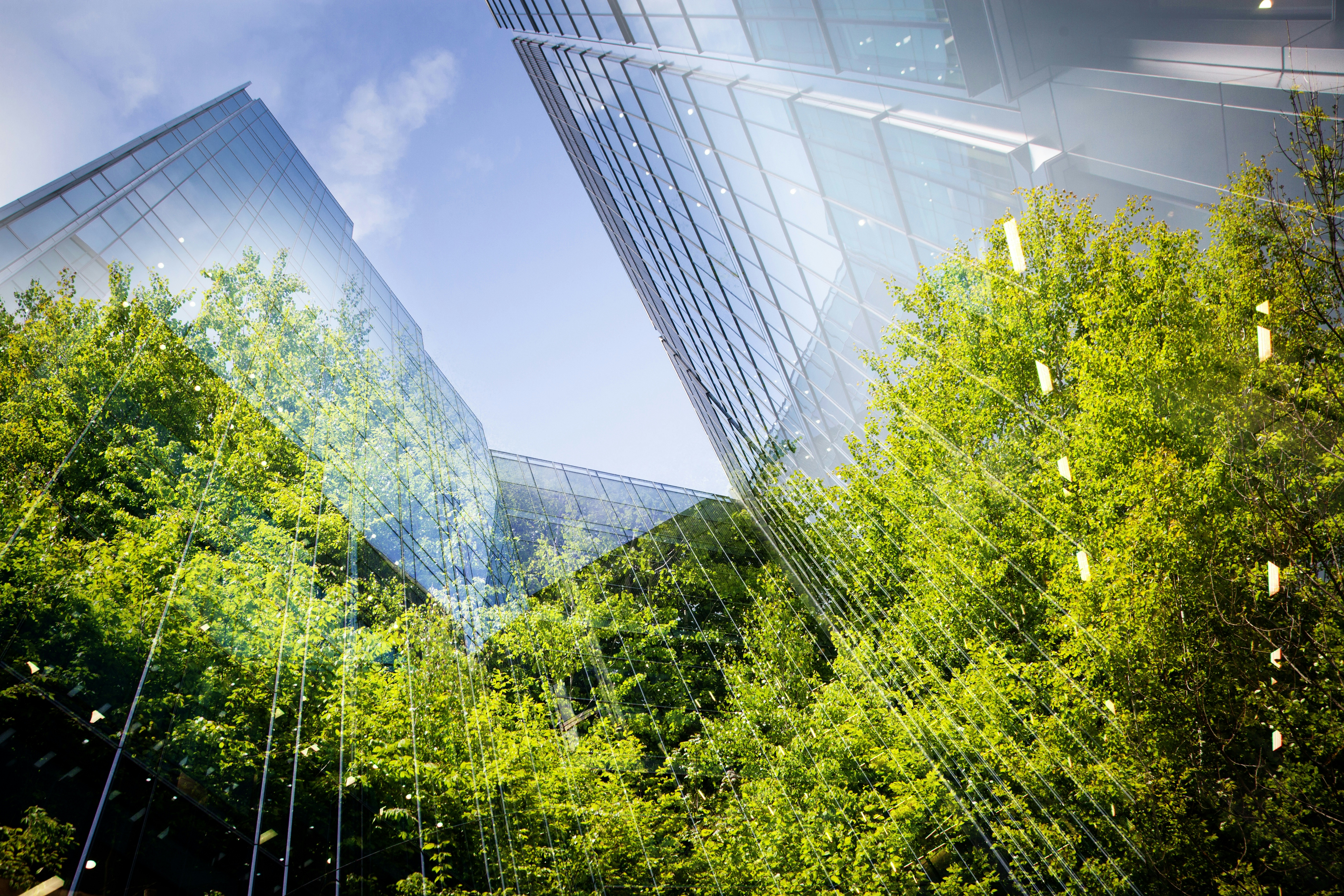 Green city
